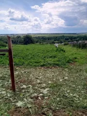 Земельный участок 1163 кв.м и жилое здание 66.5 кв.м, Республика Башкортостан Земельный участок для ведения личного подсобного хозяйства. Кадастровый номер: 02:29:050301:183. Местоположение установлено относительно ориентира, расположенного в границах участка. Почтовый адрес ориентира: Российская…