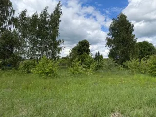 Земельный участок 1406 кв.м, для ЛПХ, д. Зубово, Московская область, площадью 1406 кв.м, категория земель: «земли населенных пунктов», вид разрешенного использования «для ведения личного подсобного хозяйства (приусадебный земельный участок)», расположен по адресу: Московская область, городской…