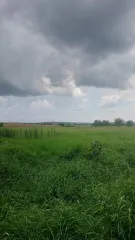 Жилой дом, 42,1 кв. м, Краснодарский край. Жилой дом, площадь 42,1 кв. м. в Краснодарском крае. Жилой дом, площадь 42,1 кв. м., адрес (местонахождение): Россия, край Краснодарский, р-н Крымский, с\п Киевское, х. Карла Маркса, дом 14, кадастровый (условный) номер: 23:15:0417001:113. Без координат…