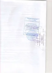 Доля в уставном капитале ООО «СЗТП» (ОГРН 1141326001508, дата присвоения ОГРН: 06.06.2014 год, ИНН 1326228122, КПП 132601001) в размере 100%.
