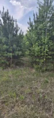 Земельный участок 1006 кв.м. в Свердловской области, г. Заречный, восточнее д. Гагарка, кадастровый (условный) номер: 66:42:0201003:1772, вид собственности: индивидуальная.