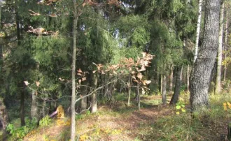 Земельный участок 1106 кв.м, Московская область, кадастровый номер 50:19:0020313:650, вид разрешённого использования 2.1.