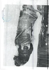 Kia Rio 2017 года, госномер М391МК29, VIN Z94CB51BBHR098604. Mazda 626 2000 года, госномер О567МС 29, VIN JMZGF14P201426983. VAZ-21093, госномер К553СТ29, VIN XTA210930W2351697, не на ходу, в неудовлетворительном состоянии. VAZ 21124 2007 года, госномер М576АУ29, VIN XTA21124070476442…