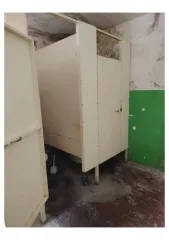 Комната 19.7 кв.м, Нижегородская область 2/5 доли комнаты, еще 2/5 доли комнаты и 2/5 доля помещения, площадь 19.7 кв.м., назначение: Жилое, количество этажей: 2, адрес (местонахождение): Российская Федерация, Нижегородская область, муниципальный округ Богородский, город Богородск, улица Туркова…