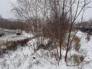 Земельный участок, кадастровый номер 50:16:0602003:642, площадь 10 200 кв. м., категория земель: земли населенных пунктов, вид разрешенного использования: размещение железнодорожного пути, расположенный по адресу: Московская область, Ногинский район, городское поселение Старая Купавна, г. Старая…