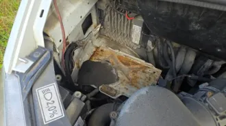 Gaz c41r92 2019 ГАЗ C41R92, 2019 года грузовой автомобиль, марка: ГАЗ, модель: C41R92, год изготовления: 2019 г.в., г/н: Х624НМ125, кузов №: A21R22K0110412 Требуется замена лобового стекла. 2. Сквозная коррозия на кабине над лобовым стеклом. 3. Имеются очаги ржавчины рамы. 4. Отсутствует…