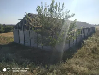 Нежилое здание - птицефабрика, лит. А, общей площадью 1242,3 кв.м, кадастровый номер 06:01:0900001:1635; Нежилое здание - птичник, лит. Г1, общей площадью 1224,6 кв.м, кадастровый номер 06:01:0900001:1889; Земельный участок. Категория земель: Земли населённых пунктов, виды разрешенного…