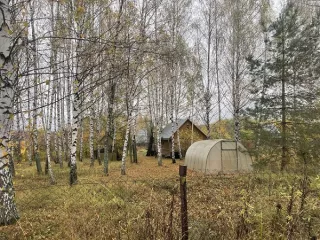Земельный участок - 800 кв. м, кадастровый номер 50:37:0040128:31, земли сельскохозяйственного назначения - для коллективного садоводства, Ограничения и обременения: на земельном участке расположено строение (садовый дом, не зарегистрировано), электричество и водопровод отсутствуют
Адрес…