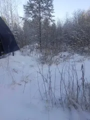 Земельный участок 1082 кв.м. Тюменская область, Нижнетавдинский район, 2,8 км на юго-восток от села Тандашково (деревня Красный Яр, улица Депутатская, №1). Кадастровый номер: 72:12:0602001:989. Категория земель: Земли населенных пунктов, вид разрешенного использования: Для ведения личного…