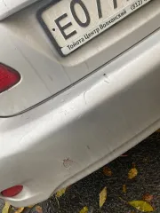 Toyota Corolla 2007 легковой автомобиль марка: Тойота Corolla, год изготовления: 2007 г.в., VIN: JTNBV58EX02048516, г/н: Е077РУ198. Обращаю внимание, что автомобиль находился в эксплуатации и является бывшим в употреблении; может иметь скрытые недостатки (неисправности), которые являются следствием…