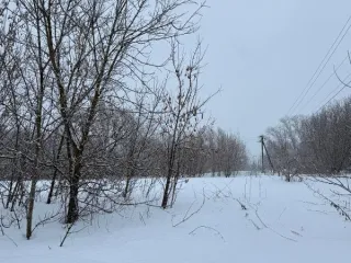 Земельный участок площадью 1046 кв.м, категория «земли населенных пунктов», вид разрешенного использования «Для индивидуального жилищного строительства» расположен по адресу: Московская область, городской округ Кашира, д. Тарасково. Основной вид разрешенного использования: 2.1. Площадь земельного…