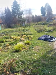 Земельный участок, площадь 600 кв.м., назначение: Земли сельскохозяйственного назначения, кадастровый (условный) номер: 24:21:4702001:1725.
Адрес (местонахождение): Россия, Красноярский край, р-н Козульский, пл. Бадаложская, с.о. "Бодрость", уч. 397