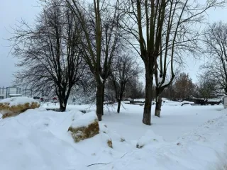 Земельный участок 2157 кв.м, Московская область, кадастровый номер 50:39:0050509:172. Основной вид разрешенного использования: 3.3.