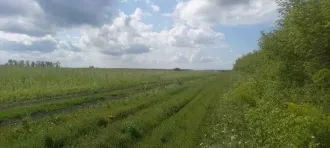 Право долгосрочной аренды земельного участка площадью 1 943 853 кв.м, кадастровый номер 02:47:121101:10, адрес: Местоположение установлено относительно ориентира, расположенного в границах участка. Почтовый адрес ориентира: Республика Башкортостан, р-н. Уфимский, с/с. Николаевский. Имеются…