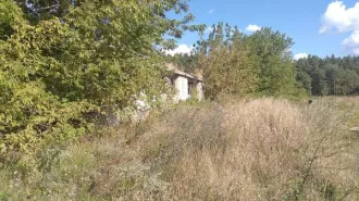 Коровники и бригадный дом, 3160,9 кв.м, Брянская обл., Новозыбковский г.о. Объекты недвижимого имущества в составе: коровник с кадастровым номером 32:18:0090101:168, коровник с кадастровым номером 32:18:0090101:175, коровник с кадастровым номером 32:18:0090101:177, бригадный дом с кадастровым…