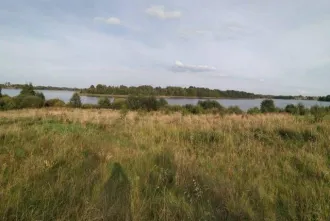 Земельный участок, 81004 кв.м, Псковская обл., р-н Великолукский, СП "Переслегинская волость", земельный массив между д. Русаново и оз. Кислое, кадастровый номер 60:02:0140103:29.