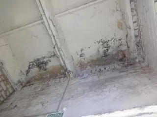 Земельный участок 86 м² с гаражом 36 м², Брянская область, Климовский район. Земельный участок площадью 86 кв.м, кадастровый номер 32:12:0011001:229 (реестровый номер федерального имущества П11420012846), по адресу: Брянская область, муниципальный район Климовский, городское поселение Климовское…
