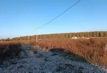 Лот № 22. Земельный участок площадью 1 008 +/  22 кв.м. кад. № 50:33:0020418:881, расположенный по адресу: Московская область, Ступинский район, Аксиньинское сельское поселение, вблизи д. Ламоново, участок находится в юго западной части кадастрового квартала 50:33:0020418