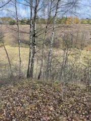 Земельный участок площадью 962 +/- 11 кв. м, категория земель: земли сельскохозяйственного назначения, разрешенное использование: для ведения садоводства, расположенный по адресу: Московская область, Каширский район, ТОО "Каширское", с кадастровым номером: 50:37:0010202:485. Цена: 108810,00 руб.