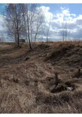 Земельный участок 1500 кв.м, Челябинская область, Сосновский район, п. Витаминный. Площадь: 1 500 кв.м., адрес (местонахождение): Челябинская область, р-н. Сосновский, п. Витаминный, категория земель: Земли населенных пунктов, разрешенное использование: Для ведения личного подсобного хозяйства…