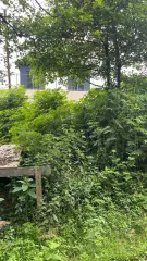 Земельный участок 300 кв.м, Краснодарский край, Сочи (Адлерский р-н, с. Вардане-Верино) - земельный участок, кадастровый номер 23:49:0000000:11535, расположен по адресу: Краснодарский край, г. Сочи, р-н Адлерский, с. Вардане-Верино, 300 +/- 6. Имущество находится в совместной собственности с…