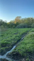 Жилой дом, Новгородская область, Шимский район, ст. Уторгош, ул Лесорубов, д. 12, кадастровый номер 53:21:0121604:241, расположенный на земельном участке по адресу: Новгородская обл, Шимский р-н, ж/д ст Уторгош, ул Лесорубов, д. 12, кадастровый номер 53:21:0121604:161.