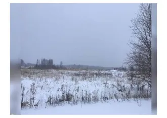 Земельный участок, площадью 600 кв.м, с кадастровым номером 76:04:033901:2415, расположенный по адресу: Россия, Ярославская область, Гаврилов-Ямский р-н, с/п Заячье-Холмский, с Унимерь. Отсутствуют постройки. Подъезд к участку возможен на автомобиле по грунтовой дороге. На момент публикации…