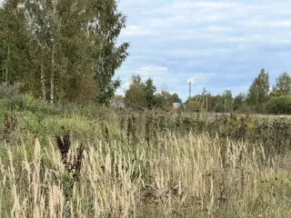 Земельные участки 1000 кв.м, 1000 кв.м, 1000 кв.м Ярославская область Земельный участок в Ярославской обл., 1000 кв.м. Земельный участок в Ярославской обл., 1000 кв.м. земельный участок по адресу:, Ярославская область, Некрасовский, с/о Диево - Городищенский пл. 1 000 кв.м кад. № 76:09:082601:2611…