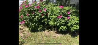 Земельный участок 858 кв.м и здание 60 кв.м, Томская область. Местоположение установлено относительно ориентира, расположенного в границах участка. Почтовый адрес ориентира: Томская область, г. Стрежевой, 5 км дороги Стрежевой-Нижневартовск, СНТ "Северянка", участок 28, площадь 858 +/- 21.