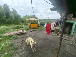 1/4 доли в жилом доме и земельном участке, Новосибирская обл., с. Буготак, ул. Советская, д. 27, кв. 1, 1/4 доли в жилом доме, расположенному по адресу: Новосибирская область, р-н. Тогучинский, с. Буготак, ул. Советская, д. 27, кв. 1, кадастровый номер: 54:24:043404:82; 1/4 доли в земельном…