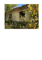 Земельный участок площадью 33992 кв. м с кадастровым номером 13:23:1104070:1025, расположенный в г. Саранск, Республика Мордовия, ш. Северо-восточное, д. 15. На участке расположены объекты недвижимости: здание кадастровый номер 13:23:0000000:1691, площадь 255,7 кв. м; здание кадастровый номер…