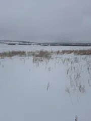Земельный участок. Кадастровый номер: 74:19:1701003:610. Виды разрешенного использования: для индивидуального жилищного строительства. Местоположение: Российская Федерация, Челябинская область, Сосновский р-н, примерно в 1000 м по направлению на юг от центра с. Архангельское. Площадь: 526 +/- 5…