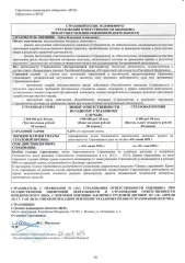 Доля в уставном капитале ООО «СЗТП» (ОГРН 1141326001508, дата присвоения ОГРН: 06.06.2014 год, ИНН 1326228122, КПП 132601001) в размере 100%.