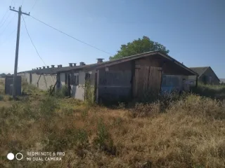 Нежилое здание - птицефабрика, лит. А, общей площадью 1242,3 кв.м, кадастровый номер 06:01:0900001:1635; Нежилое здание - птичник, лит. Г1, общей площадью 1224,6 кв.м, кадастровый номер 06:01:0900001:1889; Земельный участок. Категория земель: Земли населённых пунктов, виды разрешенного…