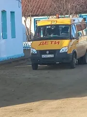ГАЗ-322121 (GAZ-322121), 2018 год выпуска, автобус специальный для перевозки детей, идентификационный номер (VIN) X96322121J0859607, модель, № двигателя А27500J0900194, шасси отсутствует, кузов № 322121J0616305, цвет кузова жёлтый, государственный регистрационный знак М149ТА75, модель автобуса…