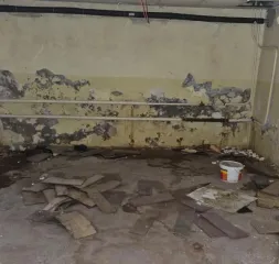 Подвал 292.6 кв.м, Великий Новгород. Нежилое помещение общей площадью 292,6 кв.м, расположенное по адресу: Новгородская область, г. Великий Новгород, ул. Ильина, д.10/13. Помещение расположено в подвале многоквартирного жилого дома 1956 года постройки. Год ввода в эксплуатацию: 1956. Вид…