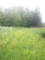 Земельный участок площадью 1000 м2, кадастровый номер: 18:02:021001:1856, расположенный по адресу: Удмуртская Республика, муниципальный округ Балезинский р-н, село Балезино, Сибирская ул., земельный участок 4а, находится в залоге у ПАО "Sberbank".