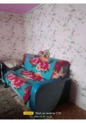1/3 доли квартиры, 13,9 кв.м, Курганская обл., Белозерский р-н, с. Белозерское. 1/3 доля квартиры в Курганской обл. еще 1/3 доля квартиры в Курганской обл. еще 1/3 доля в праве на жилое помещение, площадь: 13,9кв.м., адрес (местонахождение): Курганская область, р-н. Белозерский, с. Белозерское…