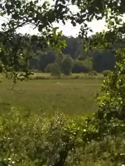Земельный участок 242515 кв. м Дмитровский р-н Московская обл. Земельный участок - 242 515 +/- 356 кв. м, адрес: Московская обл., Дмитровский р-н, Зареченский с/с, в районе дер. Драчево, кадастровый номер 50:04:0150201:149, категория не установлена - животноводство и растениеводство, ограничения и…
