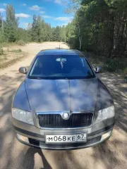 Skoda Octavia 2008 года выпуска. VIN: XW8CB21Z48K156580. Цвет серый. Мощность 85 кВт (116 л.с.). Объем двигателя 1598 куб.см. Двухзонный климат-контроль, электростеклоподъемники, электрорегулировка зеркал, подогрев сидений и зеркал, фронтальные подушки безопасности, задний парктроник…