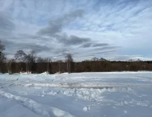 Земельный участок - 238 636 +/- 4 274 кв.м, кадастровый номер 69:29:0000019:481, земли сельскохозяйственного назначения - для сельскохозяйственного производства, 
Ограничения и обременения: 
Ограничения прав на земельный участок, предусмотренные статьями 56 Земельного кодекса Российской…