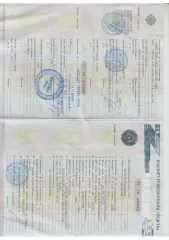 Peugeot 308 2010 года выпуска, VIN: Z8T4C5FS9AM008846.