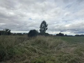 Земельный участок 1644 кв.м, ИЖС, село Горки, Камешковский округ, Владимирская область. Участок, предназначенный для передачи гражданам для индивидуального жилищного строительства в аренду сроком на 20 лет из земель населенных пунктов, площадью 1644 кв. м., расположенный по адресу: Владимирская…
