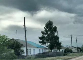 Жилой дом, кадастровый номер: 22:23:130001:658, площадь: 80,4 кв.м., вид права, доля в праве: общая долевая собственность, доля в праве 1/2; Местоположение: Алтайский край, Кулундинский р-н, с. Златополь, ул. Целинная, д. 8
Земельный участок, кадастровый номер: 22:23:130001:305, назначение: для…