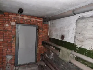 Нежилое помещение площадью 400.6 кв.м, расположенное по адресу: Санкт-Петербург, Новочеркасский пр., д. 45, корп. 1, литера А, пом. 15-Н. Назначение: нежилое, этаж: подвал, кадастровый номер 78:11:0006025:5318. Право собственности подтверждается записью в ЕГРН от 22.03.2023 №…