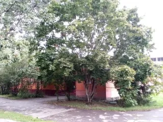 Продажа имущества, находящегося в собственности города Москвы, нежилое помещение по адресу: г. Москва, ул. Верхние Поля, д. 42, корп. 2, площадью 13,3 кв. м (этаж № 1), кадастровый номер: 77:04:0004028:10830 Продажа имущества, находящегося в собственности города Москвы, нежилое помещение по адресу…