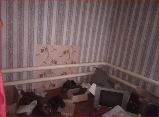 Дом 69,7 кв.м. и участок 4100 кв.м., Пензенская область. Жилое здание, площадь: 69,7кв.м., кадастровый номер: 58:08:0600401:162 и земельный участок, площадь: 4 100кв.м., категория земель: Земли населенных пунктов, разрешенное использование: Для ведения личного подсобного хозяйства, кадастровый…