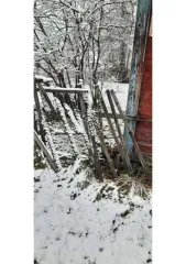 Земельный участок 601 кв.м в Кирове, Кировская область, территория садоводческого некоммерческого товарищества "Ясная Поляна-Захарищевы". Назначение: земли сельскохозяйственного назначения. Кадастровый номер: 43:40:003905:20.