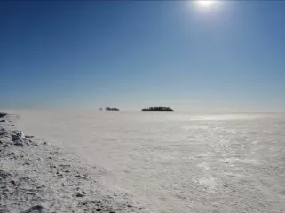 Доля в размере 1/2 в праве общей долевой собственности на земельный участок, категория земель: земли сельскохозяйственного назначения – для ведения сельскохозяйственного производства, площадь: 337 000 кв. м, кадастровый номер 54:13:025312:349, местоположение: Новосибирская область, Краснозерский…