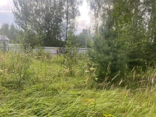 Земельный участок 750 кв.м Московская область для индивидуального садоводства. Местоположение установлено относительно ориентира, расположенного в границах участка. Почтовый адрес ориентира: обл. Московская, р-н Талдомский, д. Кушки. Кадастровый номер 50:01:0060351:34